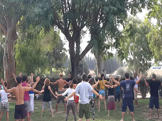 פסטיבל Body Ways