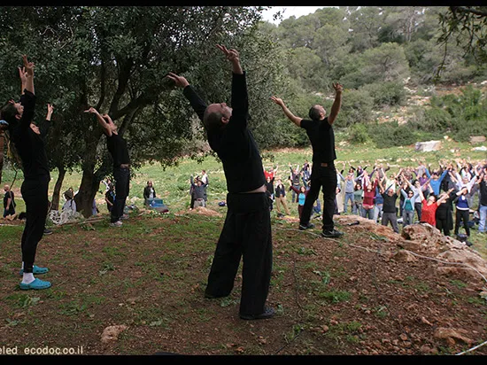 בית אורן כרמל