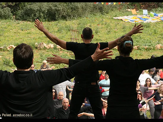 בית אורן כרמל