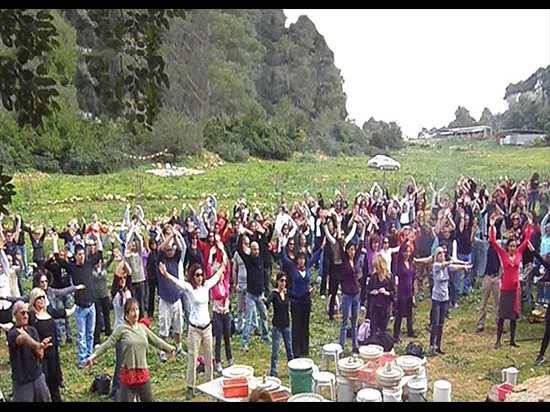 בית אורן כרמל