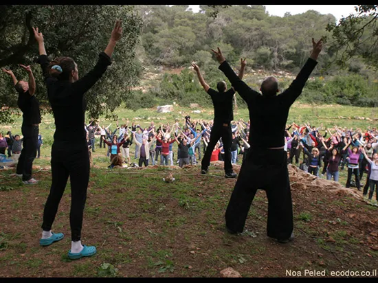 בית אורן כרמל