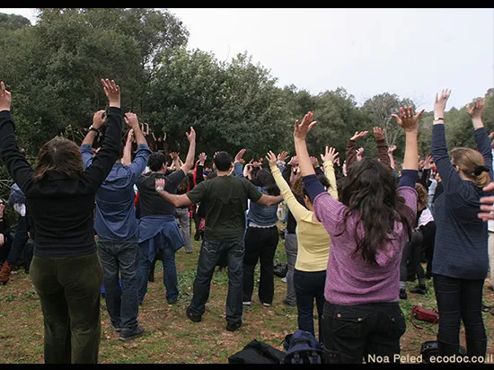 בית אורן כרמל