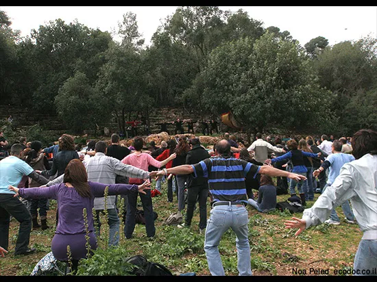 בית אורן כרמל