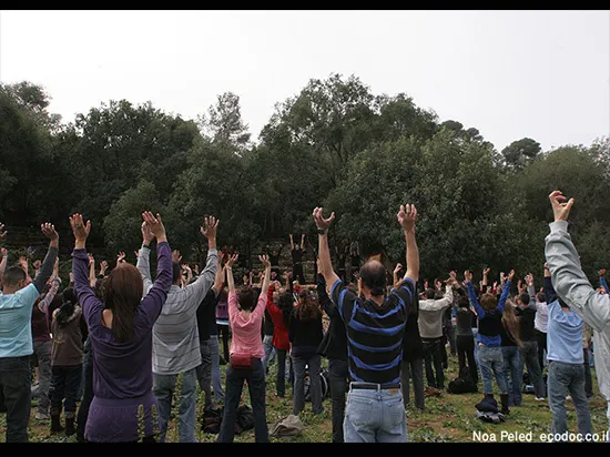 בית אורן כרמל