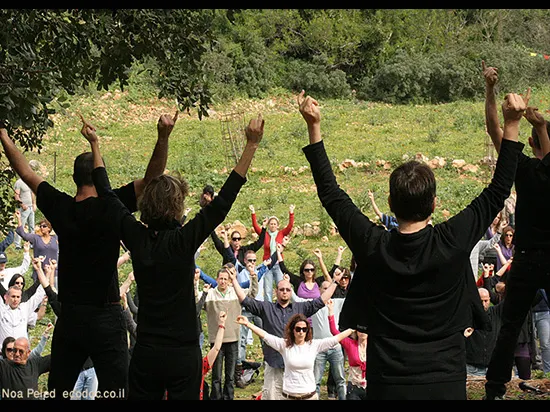 בית אורן כרמל