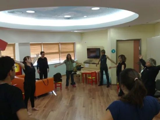 בית חולים דנה