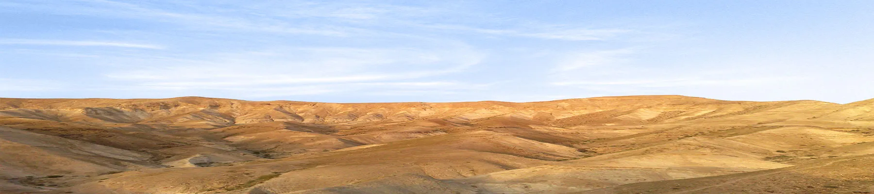 תאגיה ברחבי הארץ - גלריה