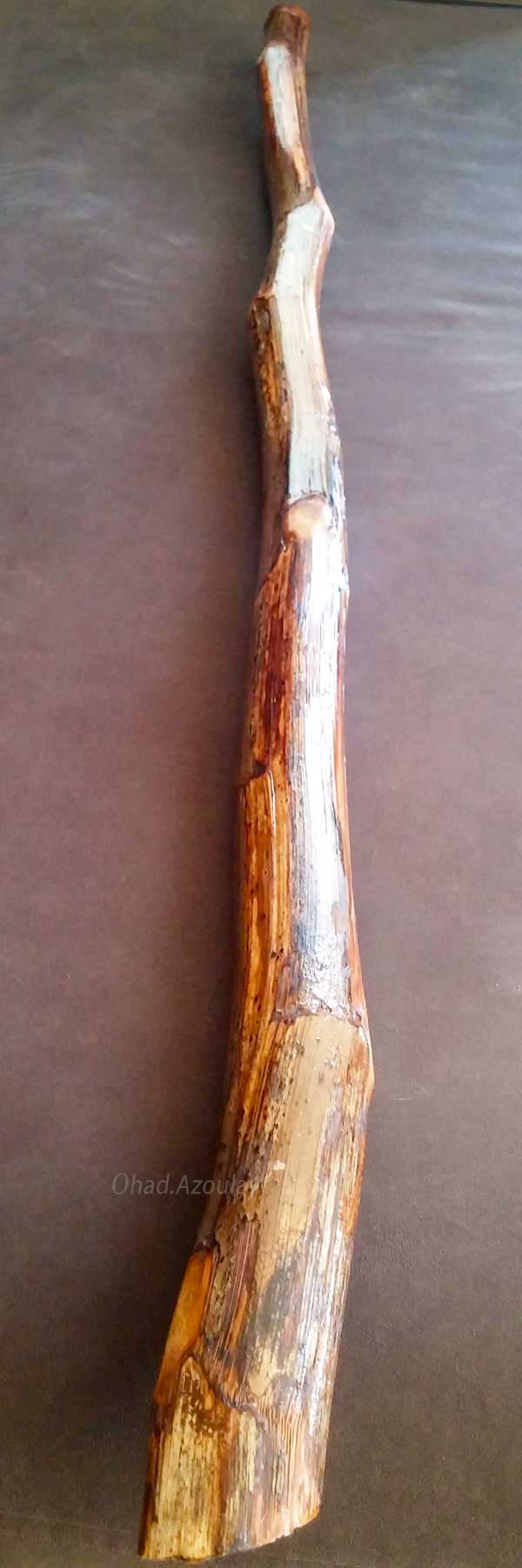 דיג' למכירה