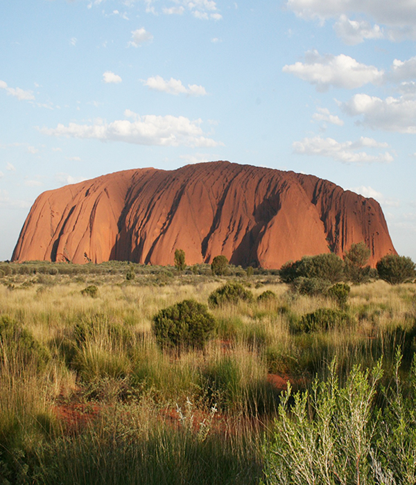 המרכז ללימוד נגינה בדיג'
