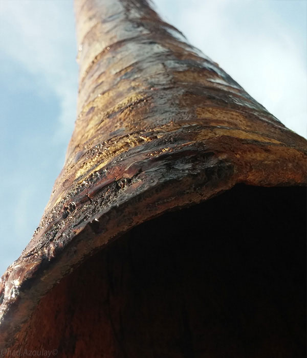 לקנות דיג' - מכירה ותיקונים